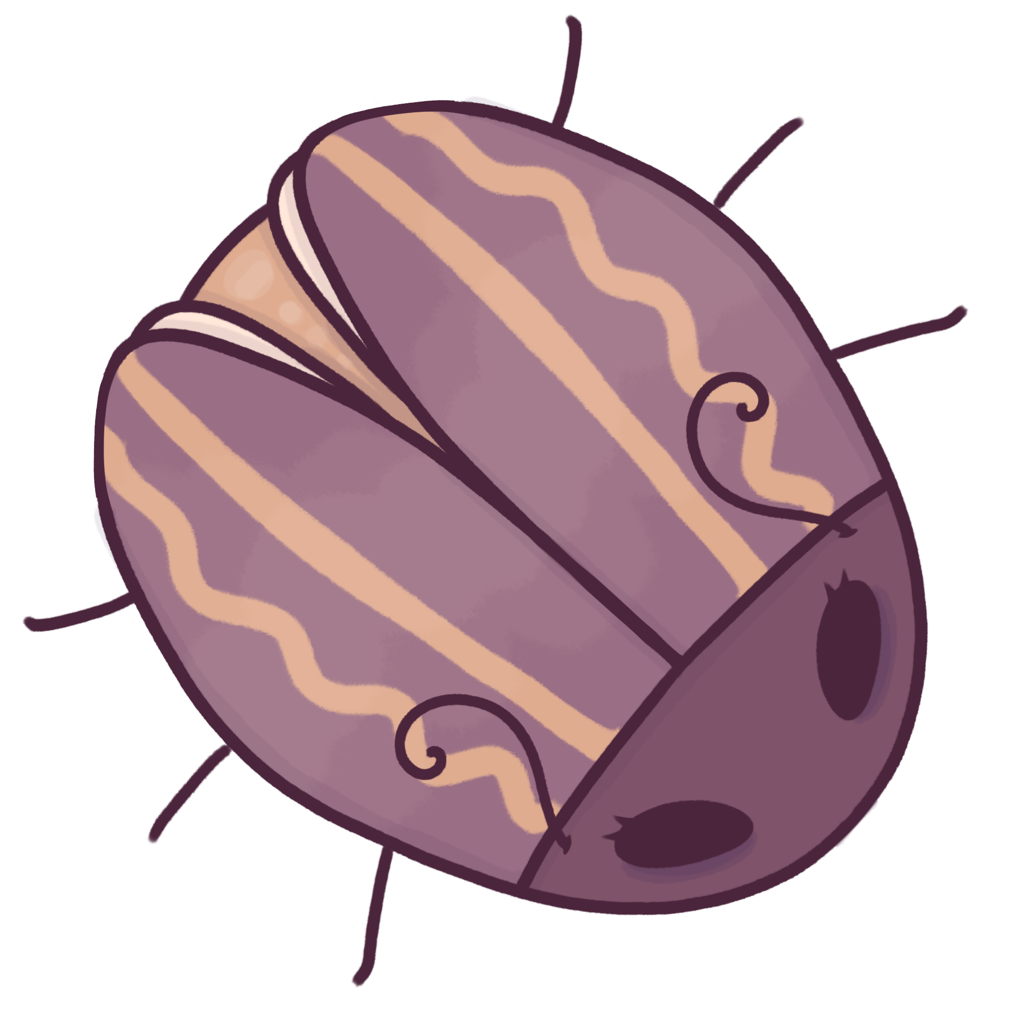 bug