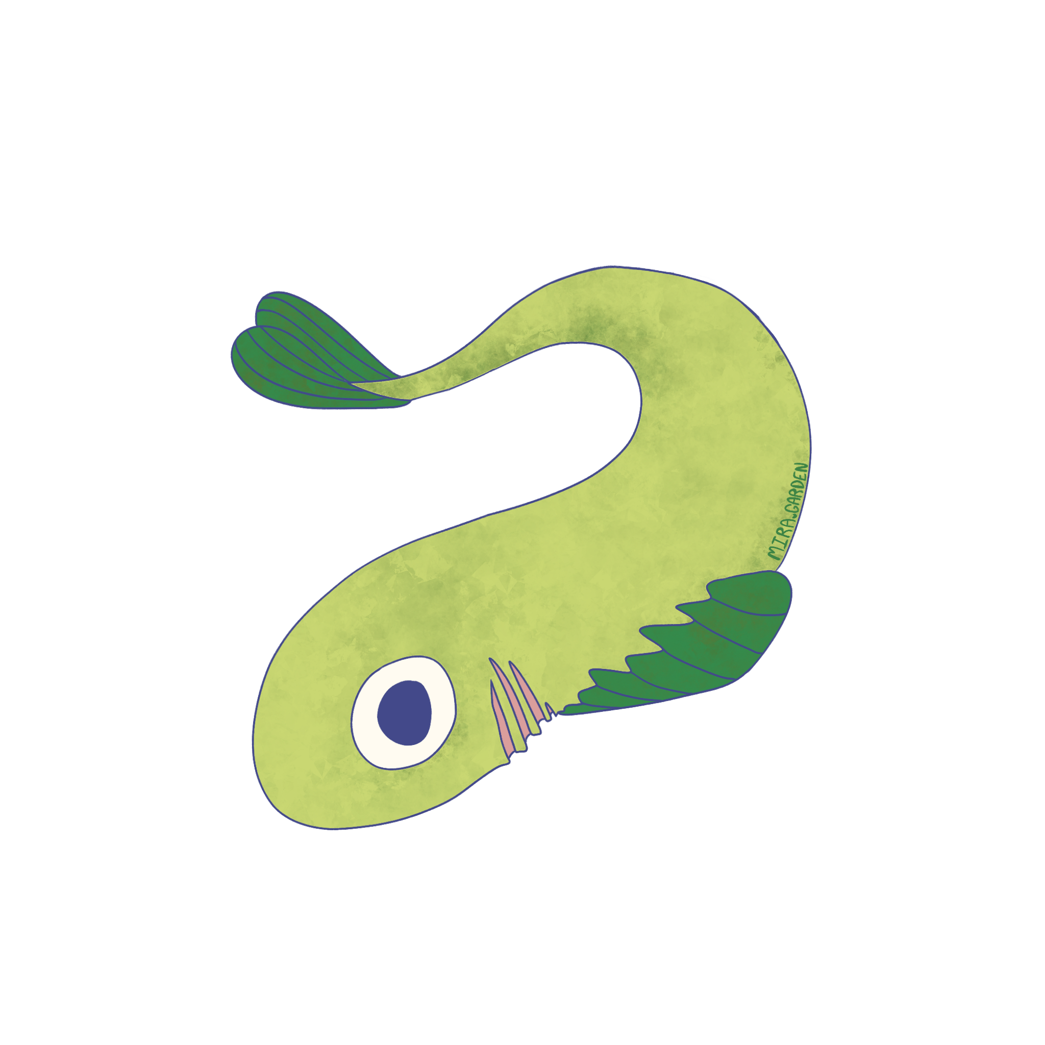 fish