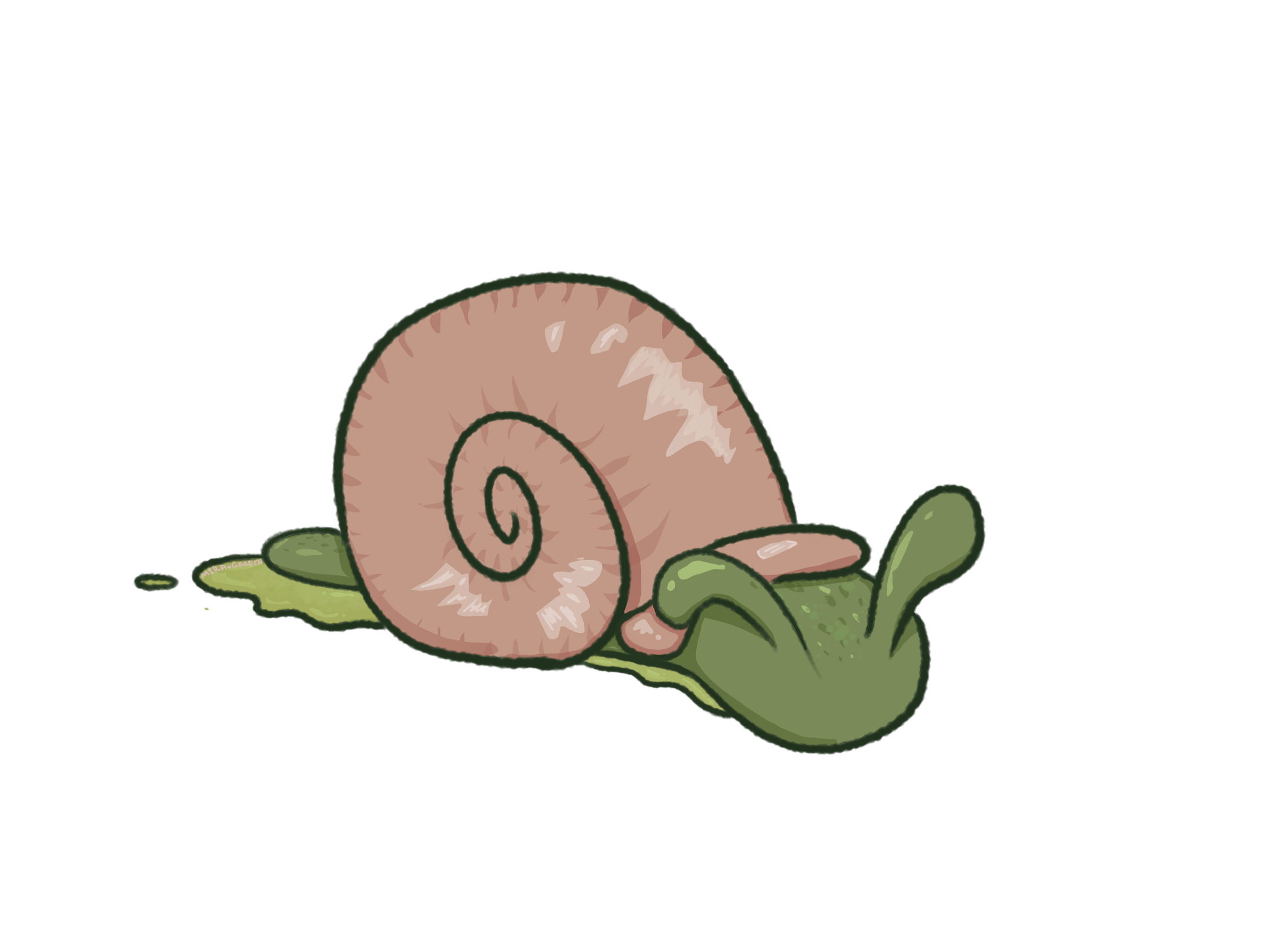 snail
